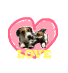 Jack Russell Terrier ten＆fuku（個別スタンプ：1）