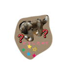 キャンディイ（個別スタンプ：1）