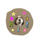 キャンディイ（個別スタンプ：4）