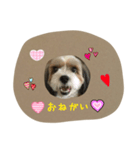 キャンディイ（個別スタンプ：5）