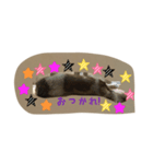 キャンディイ（個別スタンプ：6）