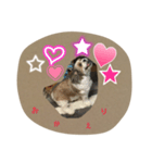 キャンディイ（個別スタンプ：8）
