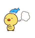 ぴよシャーク（個別スタンプ：4）