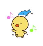 ぴよシャーク（個別スタンプ：5）