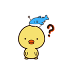 ぴよシャーク（個別スタンプ：6）