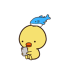 ぴよシャーク（個別スタンプ：11）