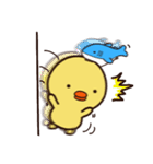 ぴよシャーク（個別スタンプ：18）