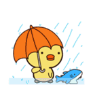 ぴよシャーク（個別スタンプ：24）
