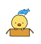 ぴよシャーク（個別スタンプ：29）