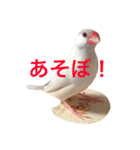 愉快なウチの子たち（個別スタンプ：1）