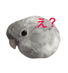 愉快なウチの子たち（個別スタンプ：3）