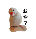愉快なウチの子たち（個別スタンプ：12）