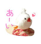 愉快なウチの子たち（個別スタンプ：16）