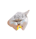 sakuti（個別スタンプ：4）