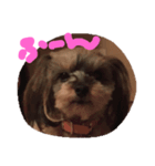 pu-desukedo（個別スタンプ：3）