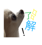 甘えたチャルとやんちゃのライト（個別スタンプ：6）