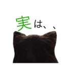 甘えたチャルとやんちゃのライト（個別スタンプ：15）