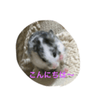 元ちゃま（個別スタンプ：6）
