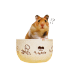 ハムスター ぐりくん（個別スタンプ：2）