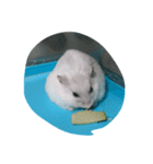 食欲の秋（個別スタンプ：3）