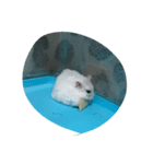 食欲の秋（個別スタンプ：4）