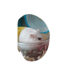 食欲の秋（個別スタンプ：5）