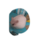 食欲の秋（個別スタンプ：6）