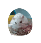 食欲の秋（個別スタンプ：7）