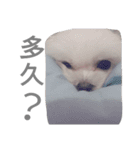 Do you know goldgold？（個別スタンプ：6）