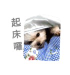 Do you know goldgold？（個別スタンプ：7）