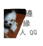 Do you know goldgold？（個別スタンプ：9）