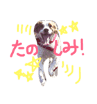 きなめーちゃん（個別スタンプ：1）
