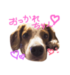 きなめーちゃん（個別スタンプ：5）