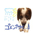きなめーちゃん（個別スタンプ：6）