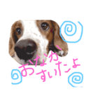 きなめーちゃん（個別スタンプ：10）