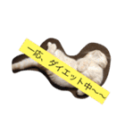 うちの猫。1（個別スタンプ：16）