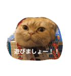 うちの猫。1（個別スタンプ：22）