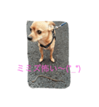 俺はぽん君（個別スタンプ：7）