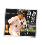 井口資仁「心の軸」（個別スタンプ：25）