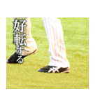 井口資仁「心の軸」（個別スタンプ：37）