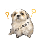愛しいココちゃん（個別スタンプ：2）