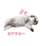 愛しいココちゃん（個別スタンプ：3）