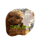 bambi_STAMP1（個別スタンプ：3）