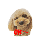 bambi_STAMP1（個別スタンプ：4）