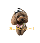 bambi_STAMP1（個別スタンプ：5）