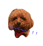 bambi_STAMP1（個別スタンプ：7）