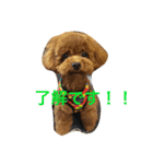 bambi_STAMP1（個別スタンプ：8）