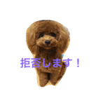 bambi_STAMP1（個別スタンプ：9）