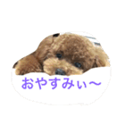 bambi_STAMP1（個別スタンプ：10）