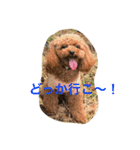 bambi_STAMP1（個別スタンプ：11）